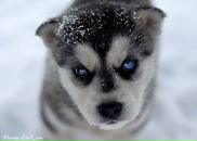 Аліна Пилипів фотография #41 (источник - https://vk.com/id57500821)