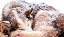 Фотография Неверовой Светланы