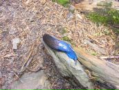 Αнна Κалашникова фотография #8 (источник - https://vk.com/id84410140)