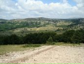 Андрій Сидор фотография #42 (источник - https://vk.com/id72877910)