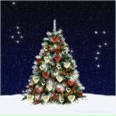 Віктор Венгриновський фотография #47 (источник - https://vk.com/id70276041)