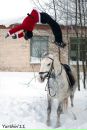 Фотография Вохмянина Дмитрия