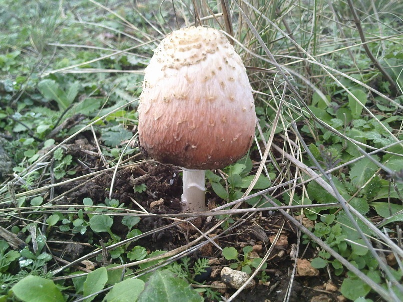 Юрий Ткаченко фотография #38