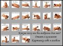 Андрій Душняк фотография #23 (источник - https://vk.com/id144457496)