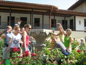 Фотография  