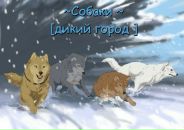 Фотография Даниловой Катерины