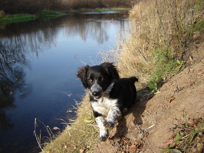 Игорь Донец фотография #42