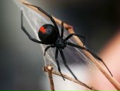 Фотография Гинкул Полины