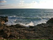 Олексій Гончар фотография #19 (источник - https://vk.com/id14295251)