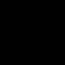 Фотография Левиной Эльвиры