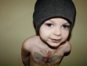 Фотография Pavlovich Artem