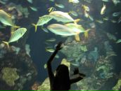 Юлія Черниш фотография #7 (источник - https://vk.com/id7938896)