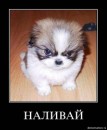 Андрій Гойнацький фотография #40 (источник - https://vk.com/id18357030)