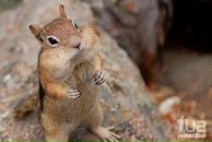 Фотография Суркова Константина