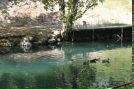 Тимур Бабаев фотография #36 (источник - https://vk.com/id2496859)