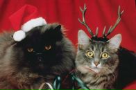 Фотография Давыдюк Виктории