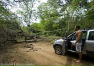 Best Express фотография #9 (источник - https://vk.com/id3925334)