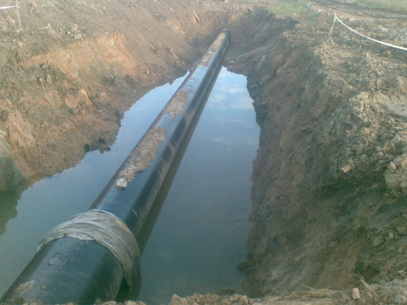 Дмитрий Матросов фотография #31