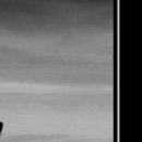 Дмитрий Щербаков фотография #33 (источник - https://vk.com/id39001049)