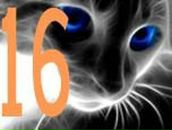 Діма Японцев фотография #1