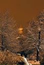 Фотография Парфеновой Дарьи