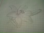 Іра Погорецька фотография #46 (источник - https://vk.com/id89554416)