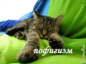 Ігор Мартинович фотография #7 (источник - https://vk.com/id6634327)