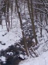 Вася Сірий фотография #28 (источник - https://vk.com/id70227408)