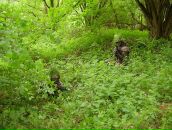 Денис Опфер фотография #41 (источник - https://vk.com/id3682012)