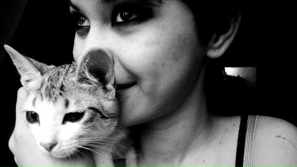 Cat Devil фото №11