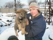 Фотография Дмитриева Виктора