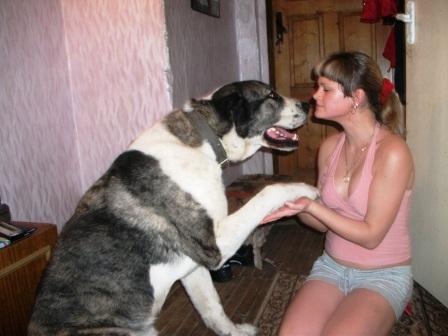 №1, Юляша Куренкова, 35 лет, Петушки №1, Юляша Куренкова, 35 лет, Петушки