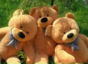 Оля Сеньків фотография #38 (источник - https://vk.com/id8914822)