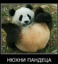 Доза Адреналина=))) фотография #45 (источник - https://vk.com/id79150058)