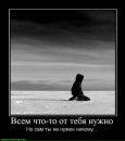 Фотография Желтовой Кристины