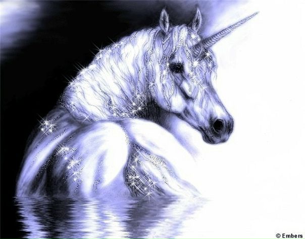 Дмитрий Блохин фото №8