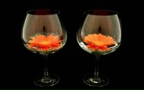 Фотография Тартышева Дмитрия