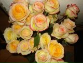 Фотография Матвеевой Маргариты