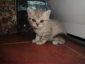 Фотография Куимовой Ольги