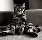 Ліля Кузік фотография #40 (источник - https://vk.com/id10807146)