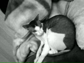 Фотография Муксиновой Джамили