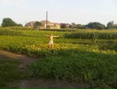 Ton Enko фотография #8 (источник - https://vk.com/id17355231)