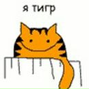 Фотография Низовцева Олега