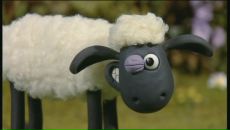 Фотография Макеевой Анны