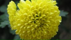 Андрій Куницький фотография #23 (источник - https://vk.com/id61947510)