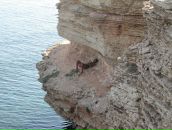 Віталік Фортуна фотография #50 (источник - https://vk.com/id9889043)