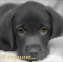 Фотография Волобуевой Ирины