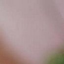 Каріно4ка♥ Шрамко фотография #17 (источник - https://vk.com/id147791993)