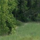 Каріно4ка♥ Шрамко фотография #47 (источник - https://vk.com/id147791993)