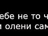 Віка Гедзюк фотография #24 (источник - https://vk.com/id59279646)